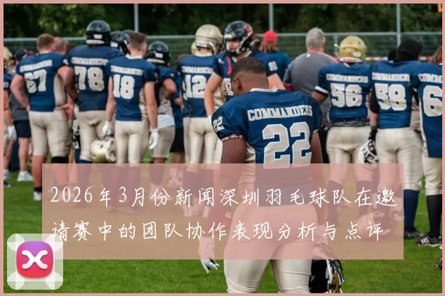 2026年3月份新闻深圳羽毛球队在邀请赛中的团队协作表现分析与点评