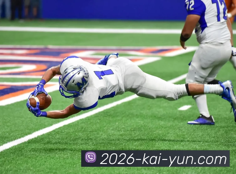 开云平台生态图